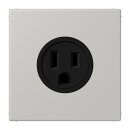 Jung LC521-15205 Steckdose US-Norm NEMA 15 A LC32013...