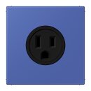 Jung LC521-15206 Steckdose US-Norm NEMA 15 A LC32020...