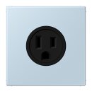 Jung LC521-15208 Steckdose US-Norm NEMA 15 A LC32022...