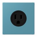 Jung LC521-15212 Steckdose US-Norm NEMA 15 A LC32031...