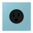 Jung LC521-15213 Steckdose US-Norm NEMA 15 A LC32032...