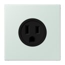 Jung LC521-15215 Steckdose US-Norm NEMA 15 A LC32034...