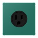 Jung LC521-15216 Steckdose US-Norm NEMA 15 A LC32040...