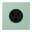 Jung LC521-15217 Steckdose US-Norm NEMA 15 A LC32041...