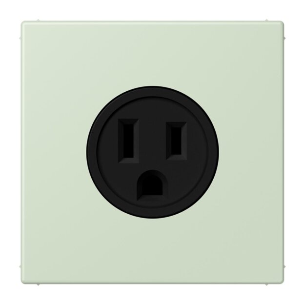 Jung LC521-15218 Steckdose US-Norm NEMA 15 A LC32042 (Thermoplast lackiert) Vert Anglâis Pale Les Couleurs® Le Corbusier