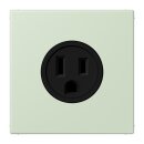 Jung LC521-15218 Steckdose US-Norm NEMA 15 A LC32042...