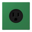 Jung LC521-15219 Steckdose US-Norm NEMA 15 A LC32050...