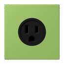 Jung LC521-15220 Steckdose US-Norm NEMA 15 A LC32051...