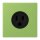 Jung LC521-15220 Steckdose US-Norm NEMA 15 A LC32051 (Thermoplast lackiert) Vert 31 Les Couleurs® Le Corbusier