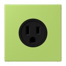 Jung LC521-15221 Steckdose US-Norm NEMA 15 A LC32052...