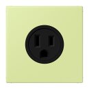 Jung LC521-15222 Steckdose US-Norm NEMA 15 A LC32053...