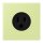 Jung LC521-15222 Steckdose US-Norm NEMA 15 A LC32053 (Thermoplast lackiert) Vert Jaune Clair Les Couleurs® Le Corbusier