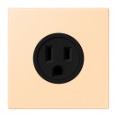 Jung LC521-15223 Steckdose US-Norm NEMA 15 A LC32060...