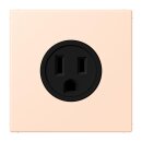 Jung LC521-15228 Steckdose US-Norm NEMA 15 A LC32091...