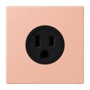 Jung LC521-15231 Steckdose US-Norm NEMA 15 A LC32102...