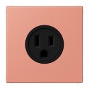 Jung LC521-15233 Steckdose US-Norm NEMA 15 A LC32111...