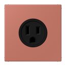 Jung LC521-15236 Steckdose US-Norm NEMA 15 A LC32121...