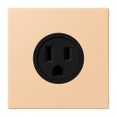 Jung LC521-15237 Steckdose US-Norm NEMA 15 A LC32122...
