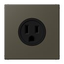 Jung LC521-15241 Steckdose US-Norm NEMA 15 A LC32140...