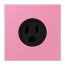 Jung LC521-15246 Steckdose US-Norm NEMA 15 A LC4320C...