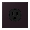 Jung LC521-15248 Steckdose US-Norm NEMA 15 A LC4320E...