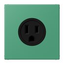 Jung LC521-15250 Steckdose US-Norm NEMA 15 A LC4320G...