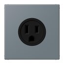 Jung LC521-15251 Steckdose US-Norm NEMA 15 A LC4320H...