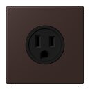 Jung LC521-15252 Steckdose US-Norm NEMA 15 A LC4320J...