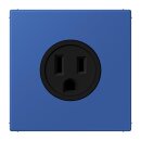 Jung LC521-15253 Steckdose US-Norm NEMA 15 A LC4320K...