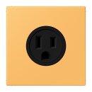 Jung LC521-15254 Steckdose US-Norm NEMA 15 A LC4320L...