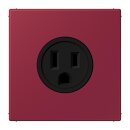 Jung LC521-15255 Steckdose US-Norm NEMA 15 A LC4320M...
