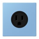 Jung LC521-15256 Steckdose US-Norm NEMA 15 A LC4320N...