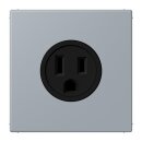 Jung LC521-15257 Steckdose US-Norm NEMA 15 A LC4320O...