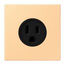 Jung LC521-15258 Steckdose US-Norm NEMA 15 A LC4320P...