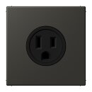 Jung LC521-15259 Steckdose US-Norm NEMA 15 A LC4320R...