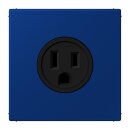 Jung LC521-15261 Steckdose US-Norm NEMA 15 A LC4320T...