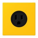 Jung LC521-15263 Steckdose US-Norm NEMA 15 A LC4320W...