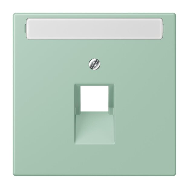 Jung LC969-1NAUA217 Abdeckung für IAE/UAE-Anschlussdosen 1 x 8-polig LC320 (Thermoplast lackiert) Vert Anglais Clair Les Couleurs® Le Corbusier