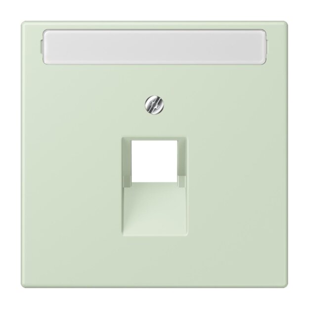 Jung LC969-1NAUA218 Abdeckung für IAE/UAE-Anschlussdosen 1 x 8-polig LC320 (Thermoplast lackiert) Vert Anglâis Pale Les Couleurs® Le Corbusier