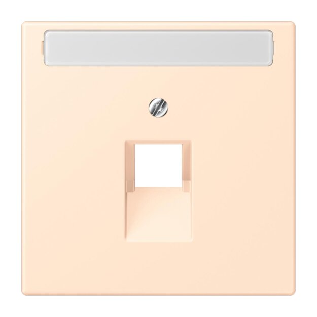 Jung LC969-1NAUA238 Abdeckung für IAE/UAE-Anschlussdosen 1 x 8-polig LC321 (Thermoplast lackiert) Terre Sienne Pâle Les Couleurs® Le Corbusier