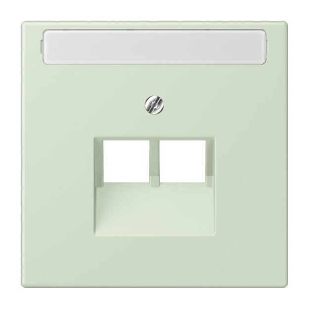 Jung LC969-2NAUA218 Abdeckung für IAE/UAE-Anschlussdosen 1 x 8-polig LC320 (Thermoplast lackiert) Vert Anglâis Pale Les Couleurs® Le Corbusier