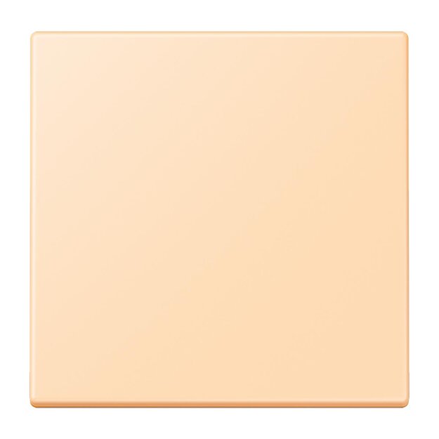 Jung LC990223 Wippe für Schalter/Taster 1-fach LC32060 (Duroplast lackiert) Ocre Les Couleurs® Le Corbusier
