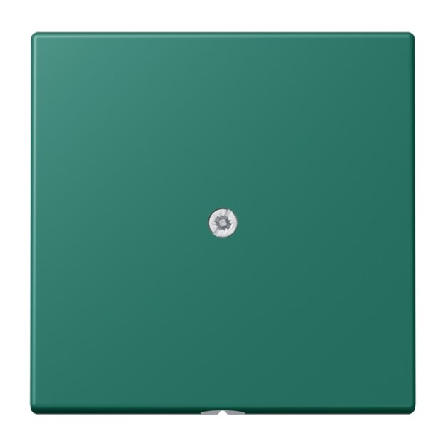 Jung LC990A216 Leitungsauslass mit Zugentlastung LC32040 Vert Anglais Les Couleurs® Le Corbusier