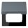 Jung LC990BFKL251 Klappdeckel LC4320H (Thermoplast lackiert) Gris 59 Les Couleurs® Le Corbusier