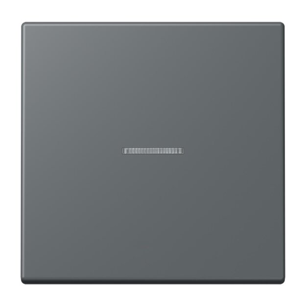Jung LC990KO5202 Wippe 1-fach mit Lichtleiter LC32010 (Duroplast lackiert) Gris Foncé 31 Les Couleurs® Le Corbusier