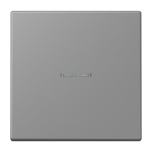 Jung LC990KO5203 Wippe 1-fach mit Lichtleiter LC32011 (Duroplast lackiert) Gris 31 Les Couleurs® Le Corbusier