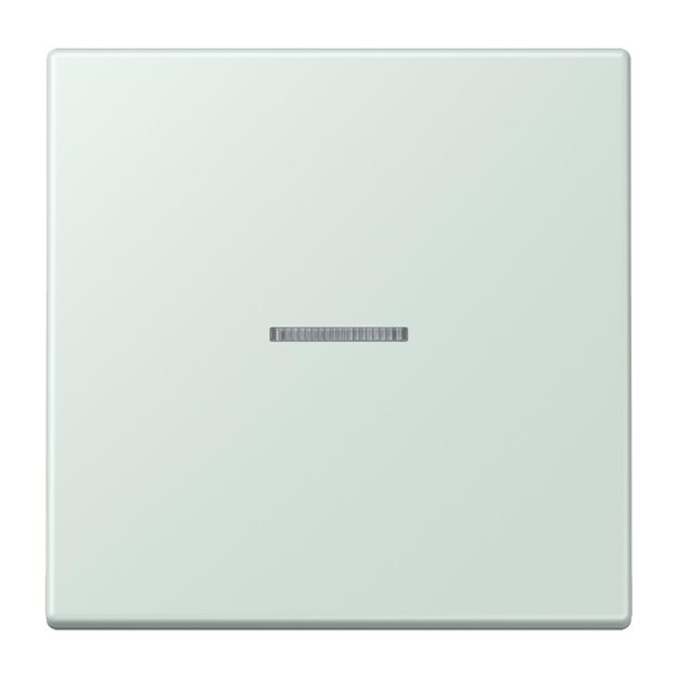 Jung LC990KO5215 Wippe 1-fach mit Lichtleiter LC32034 (Duroplast lackiert) Céruléen Pale Les Couleurs® Le Corbusier