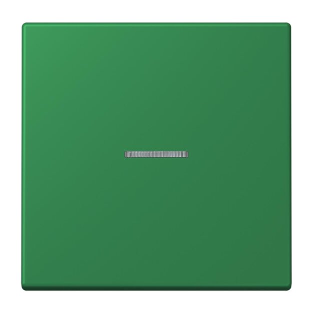 Jung LC990KO5219 Wippe 1-fach mit Lichtleiter LC32050 (Duroplast lackiert) Vert Foncé Les Couleurs® Le Corbusier
