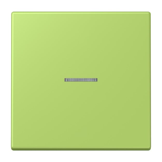Jung LC990KO5221 Wippe 1-fach mit Lichtleiter LC32052 (Duroplast lackiert) Vert Clair Les Couleurs® Le Corbusier