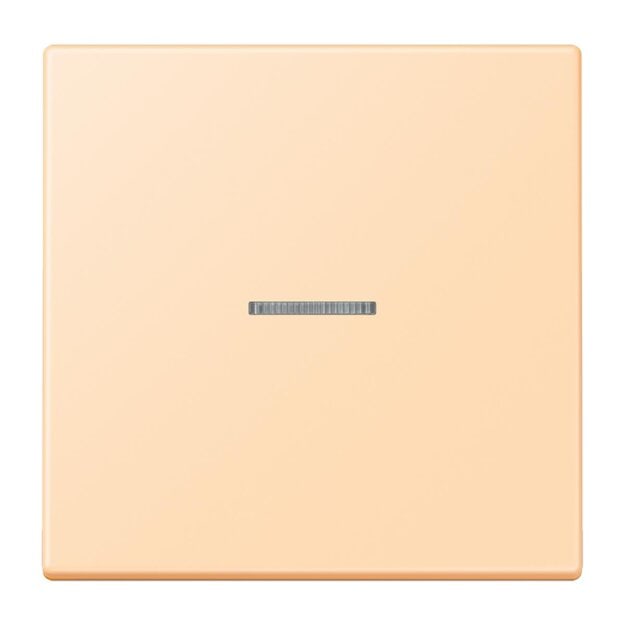 Jung LC990KO5223 Wippe 1-fach mit Lichtleiter LC32060 (Duroplast lackiert) Ocre Les Couleurs® Le Corbusier